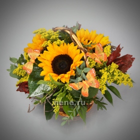 Воспоминания о лете