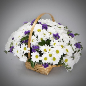 Летний бриз