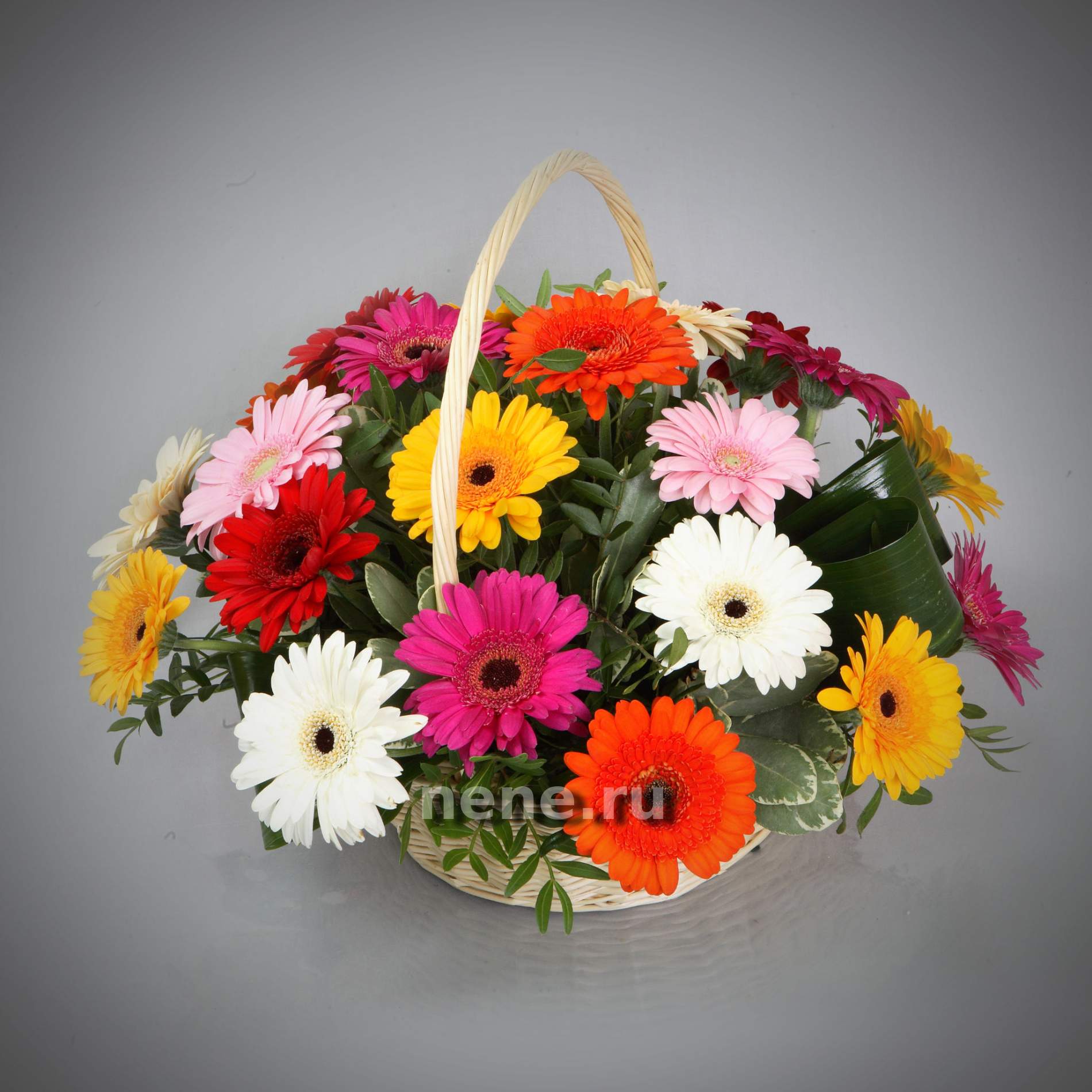 Палитра эмоций