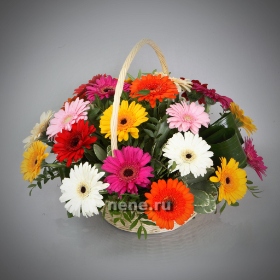 Палитра эмоций