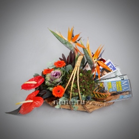 Стильному и сильному