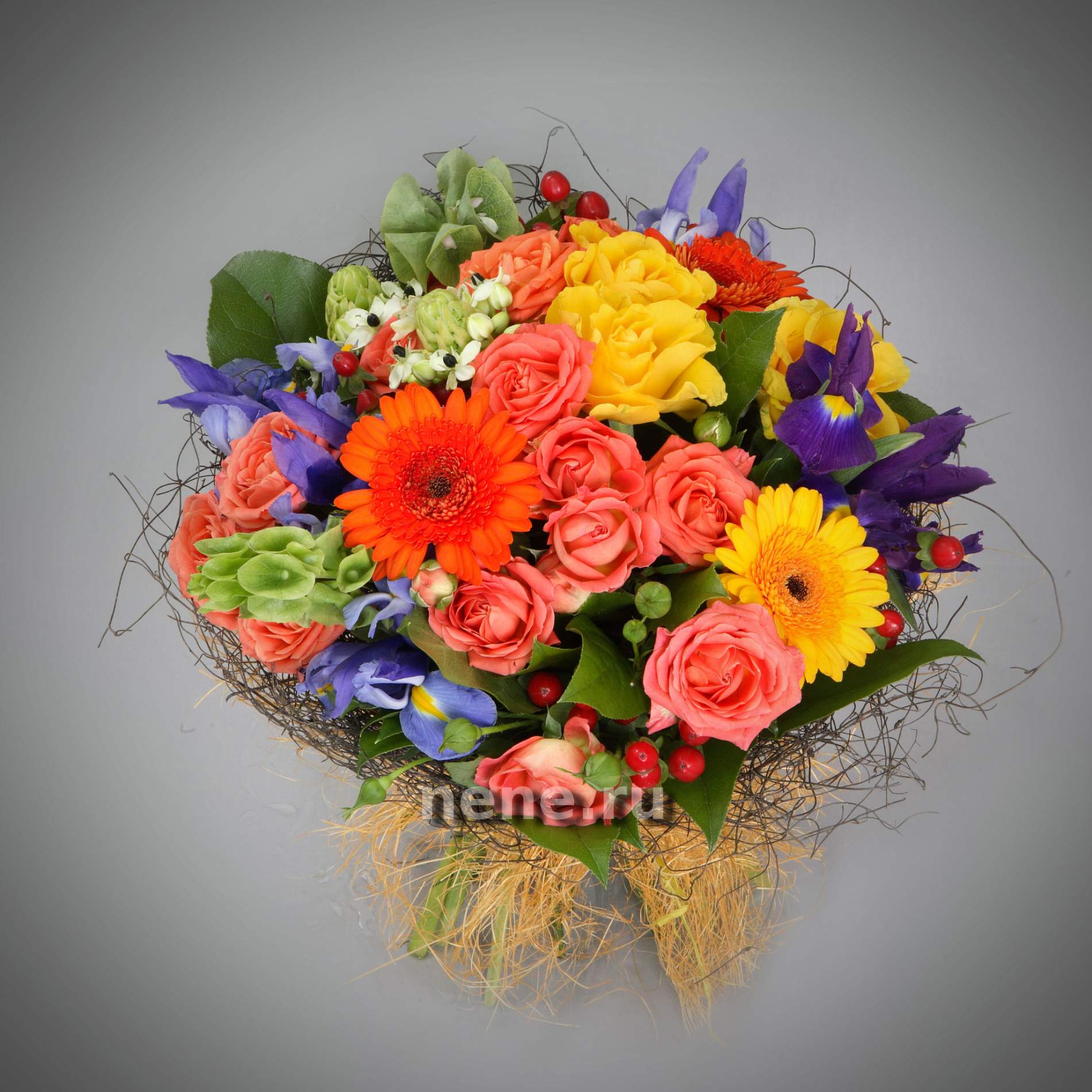 Яркие впечатления