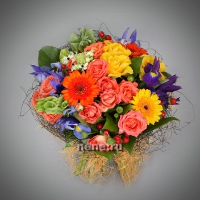 Яркие впечатления