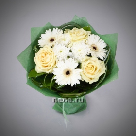 Комплимент