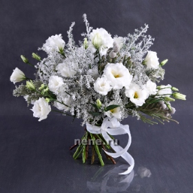 снежный сад