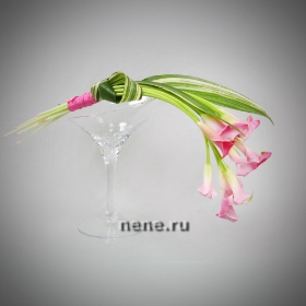 row.Name