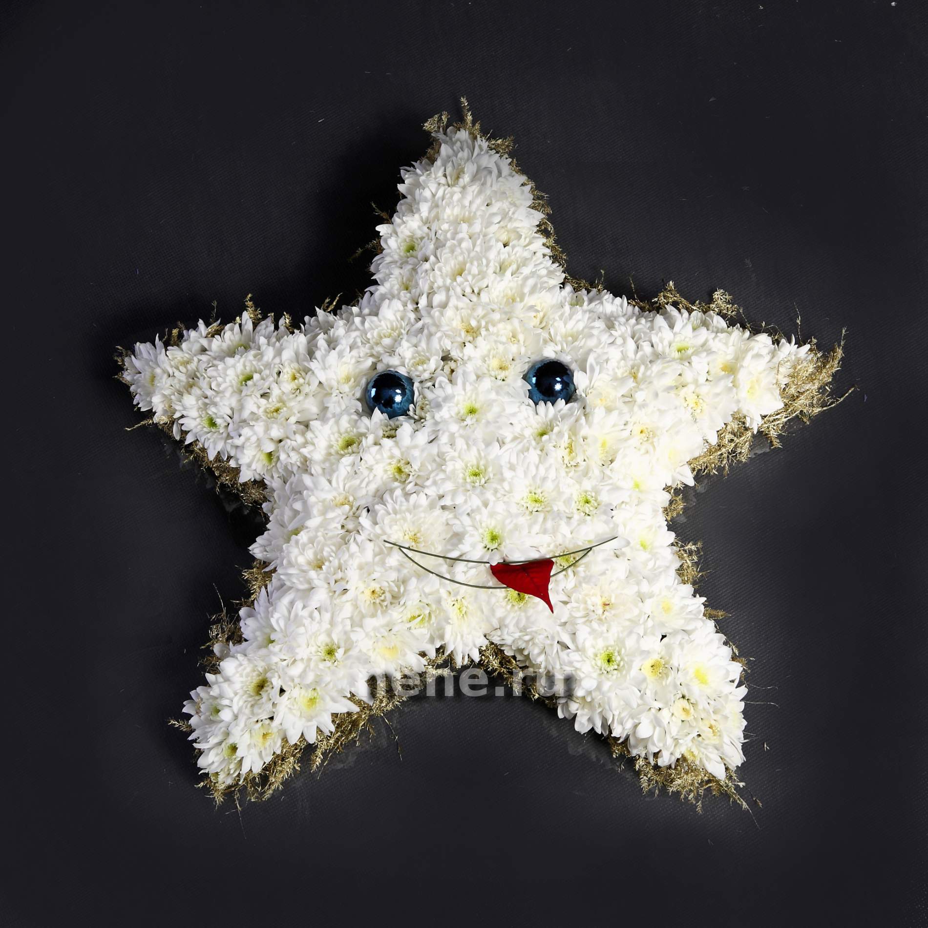 Моей звездочке