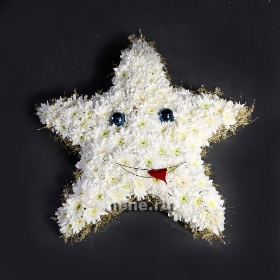 Моей звездочке