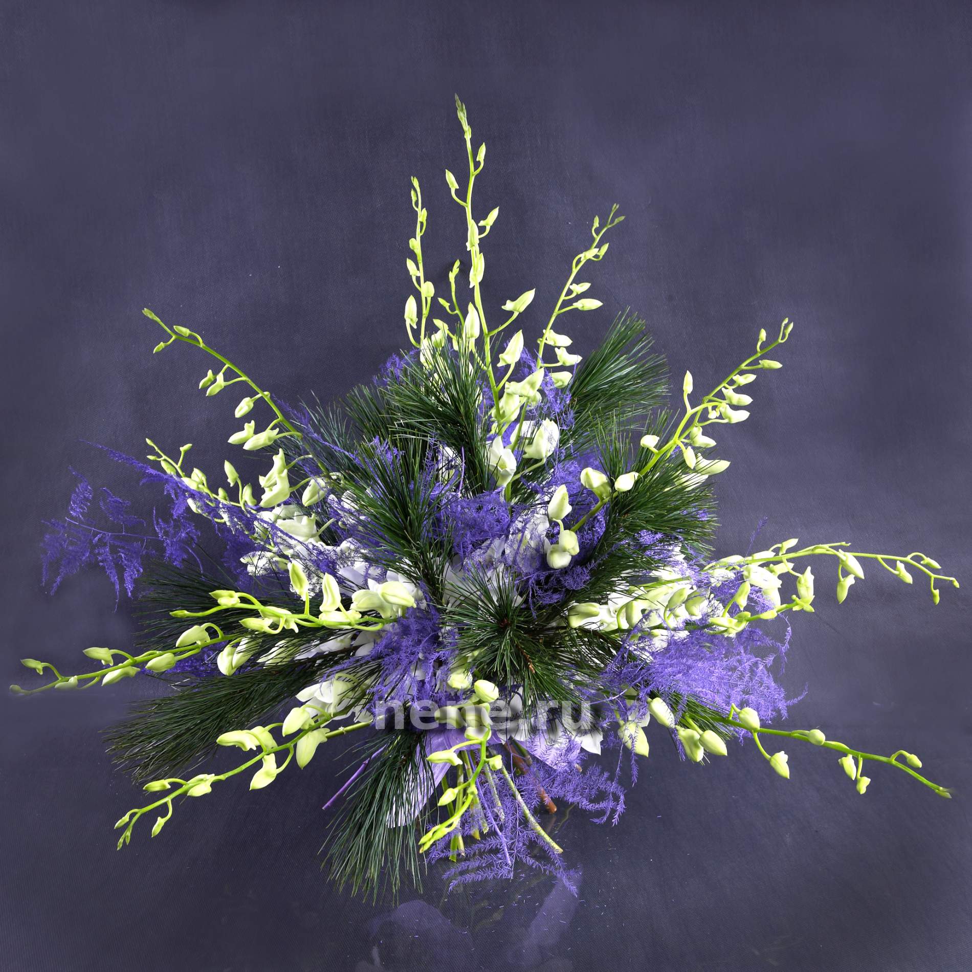 Горные ручьи