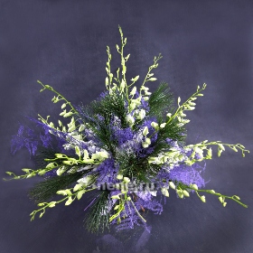 Горные ручьи