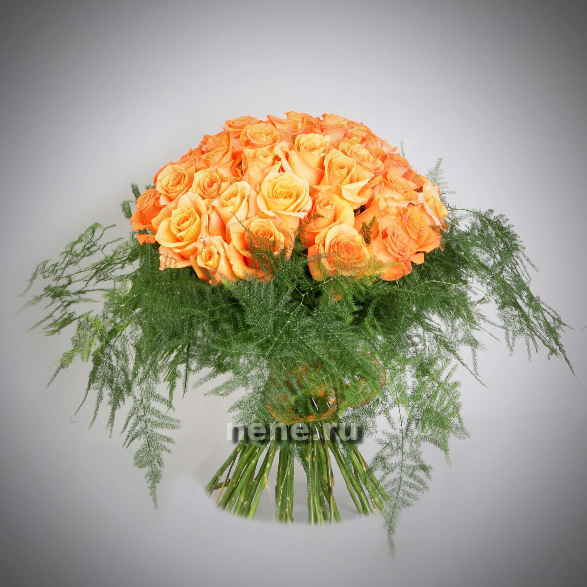 Преданность