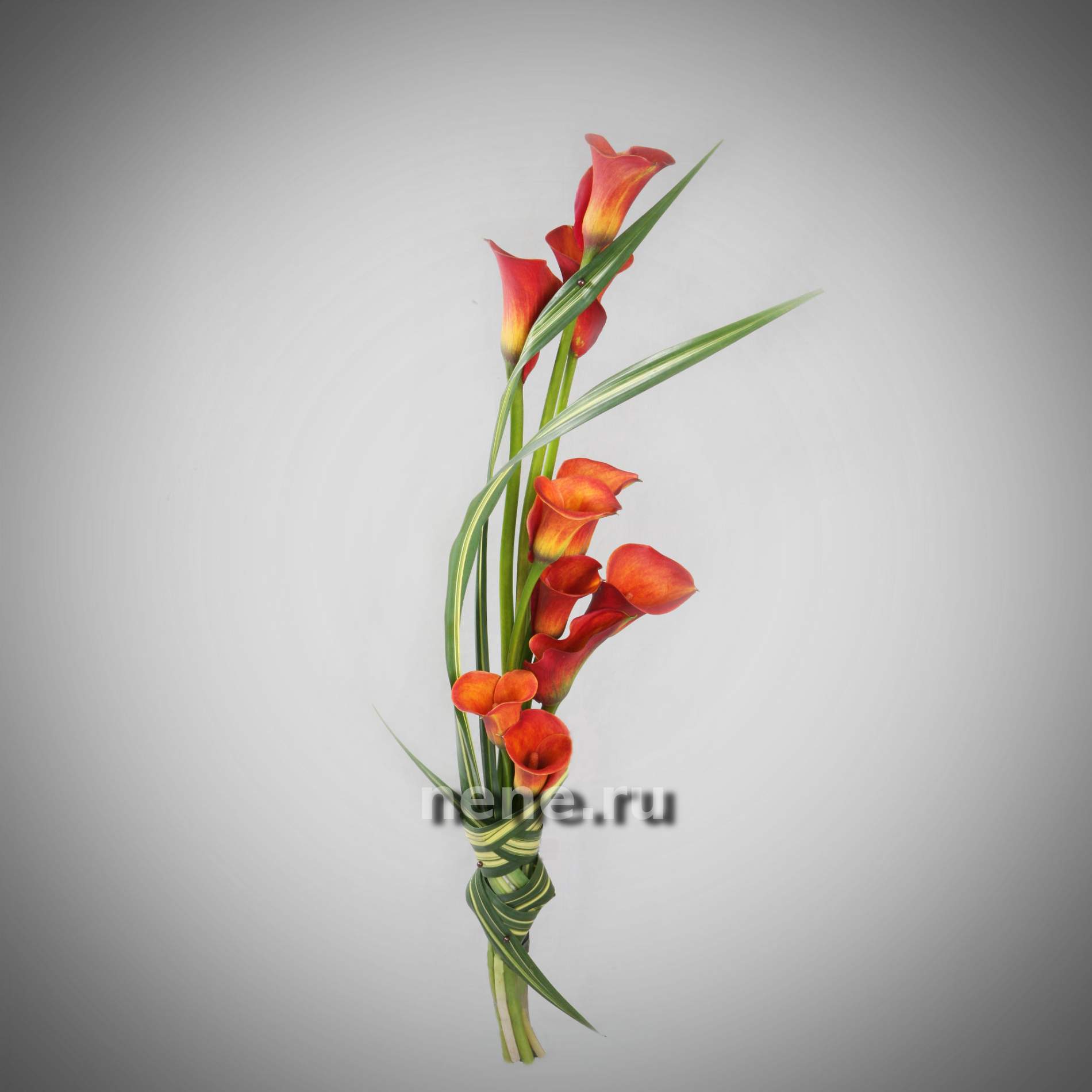 Закон желаний