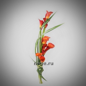 Закон желаний