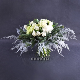 Зимняя сказка