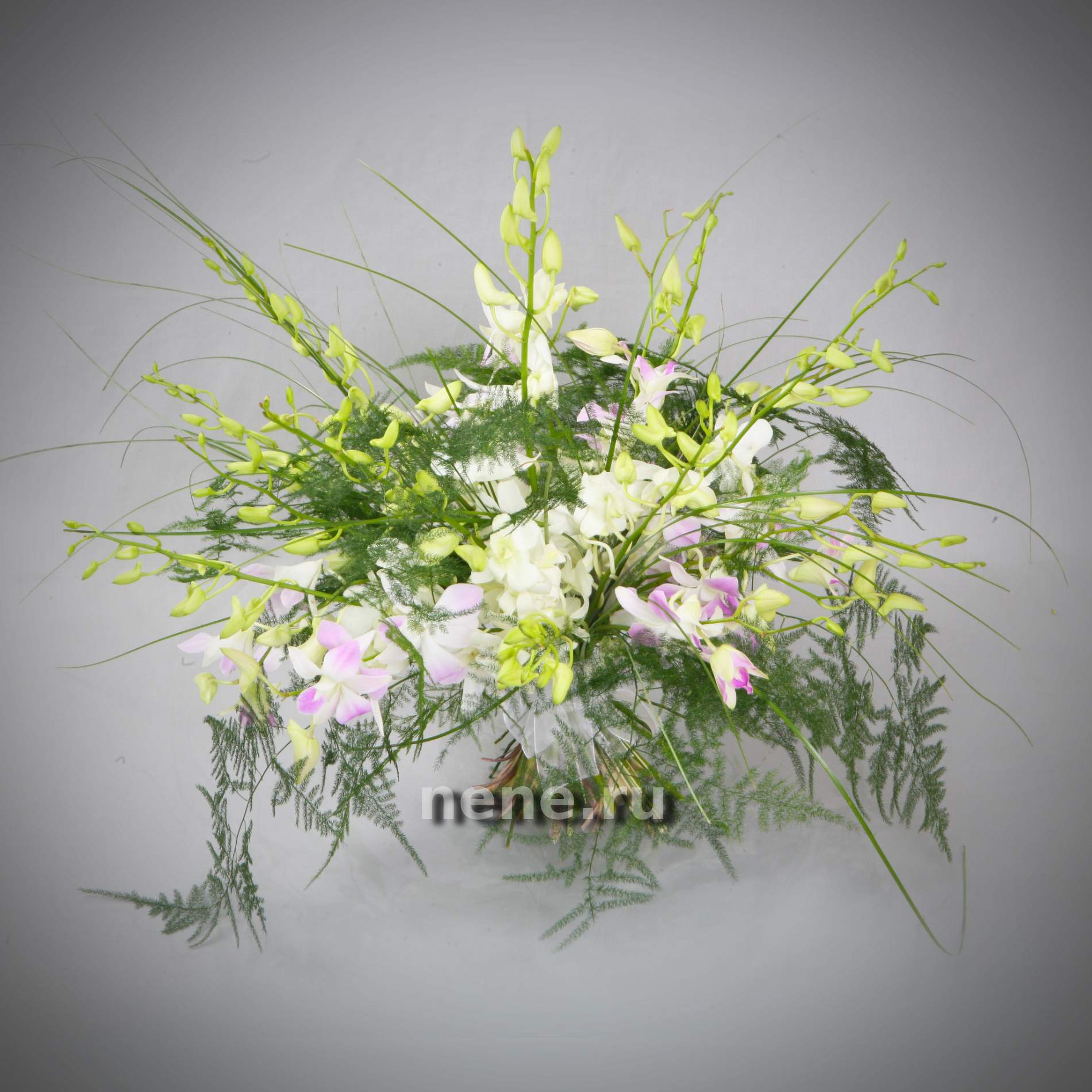 Дуновение ветра