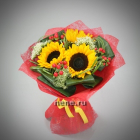 Подарок лета