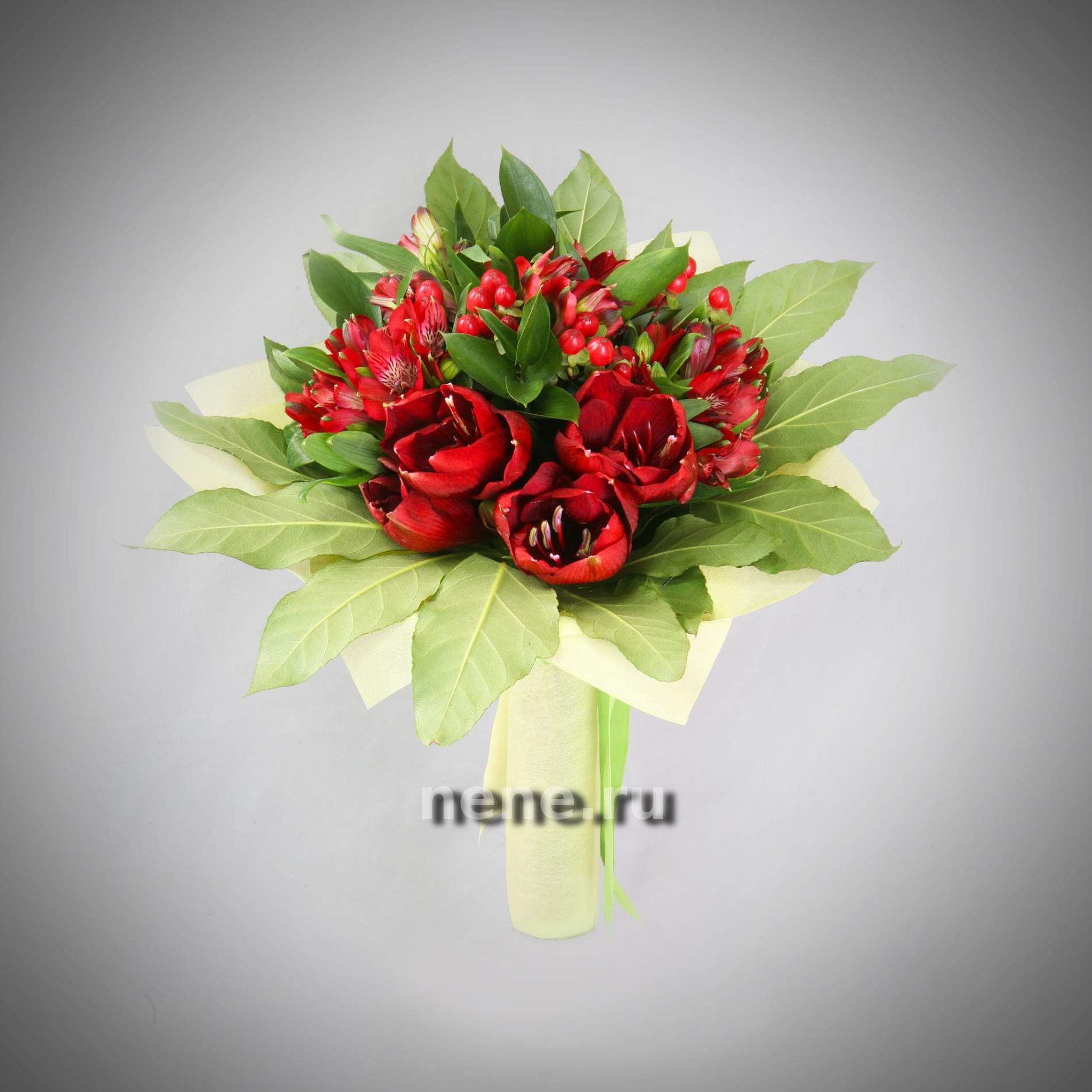 Звезда удачи