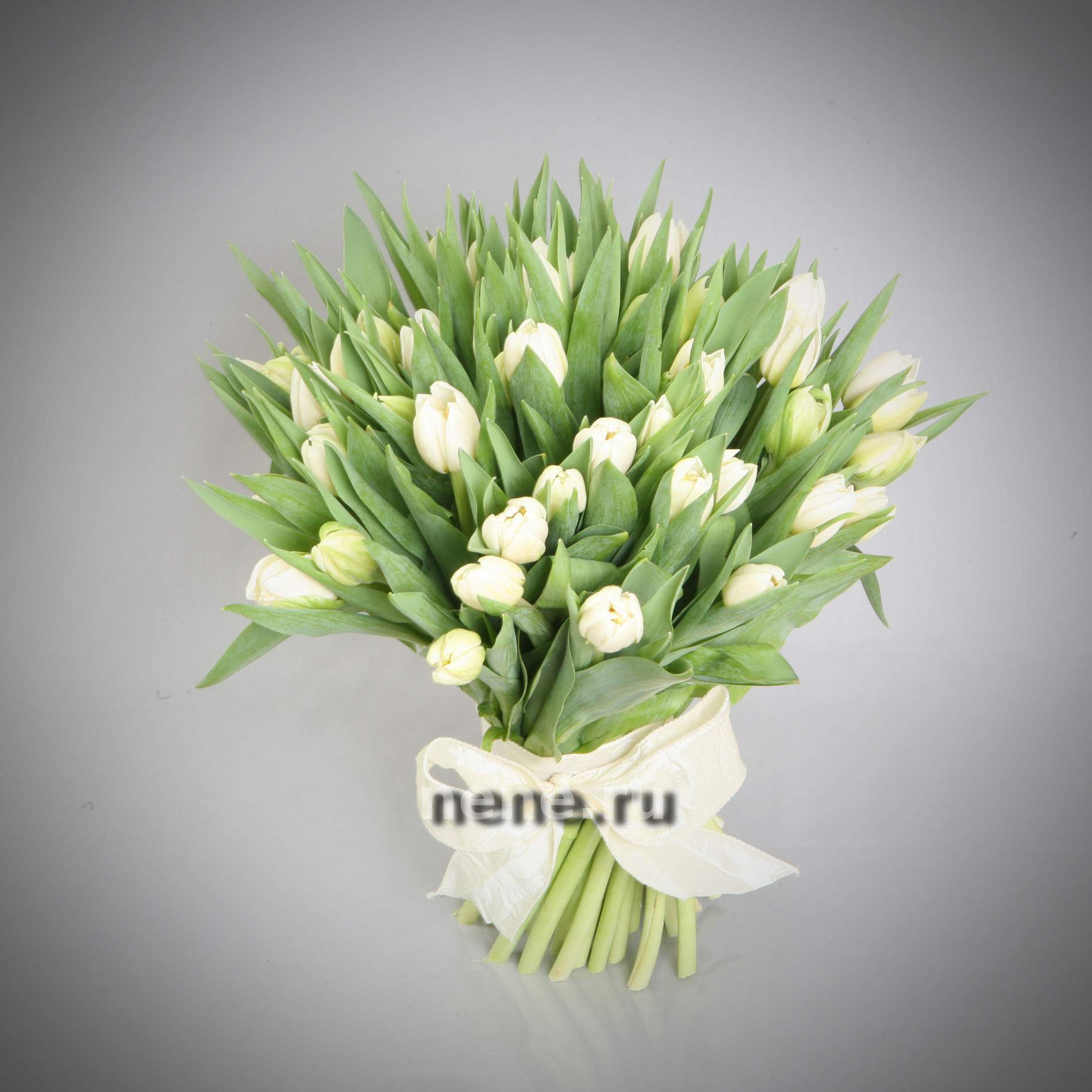 Белоснежка