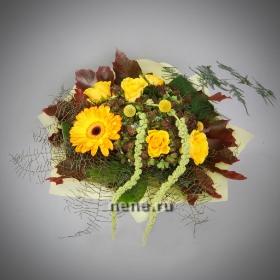 Осеняя прогулка