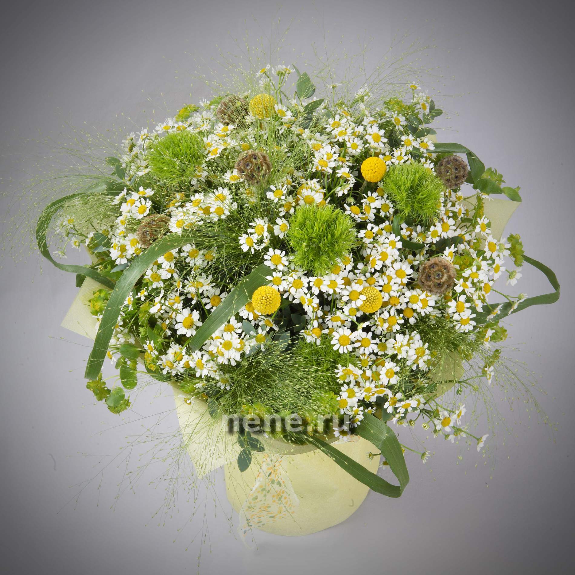 Ромашковое лето