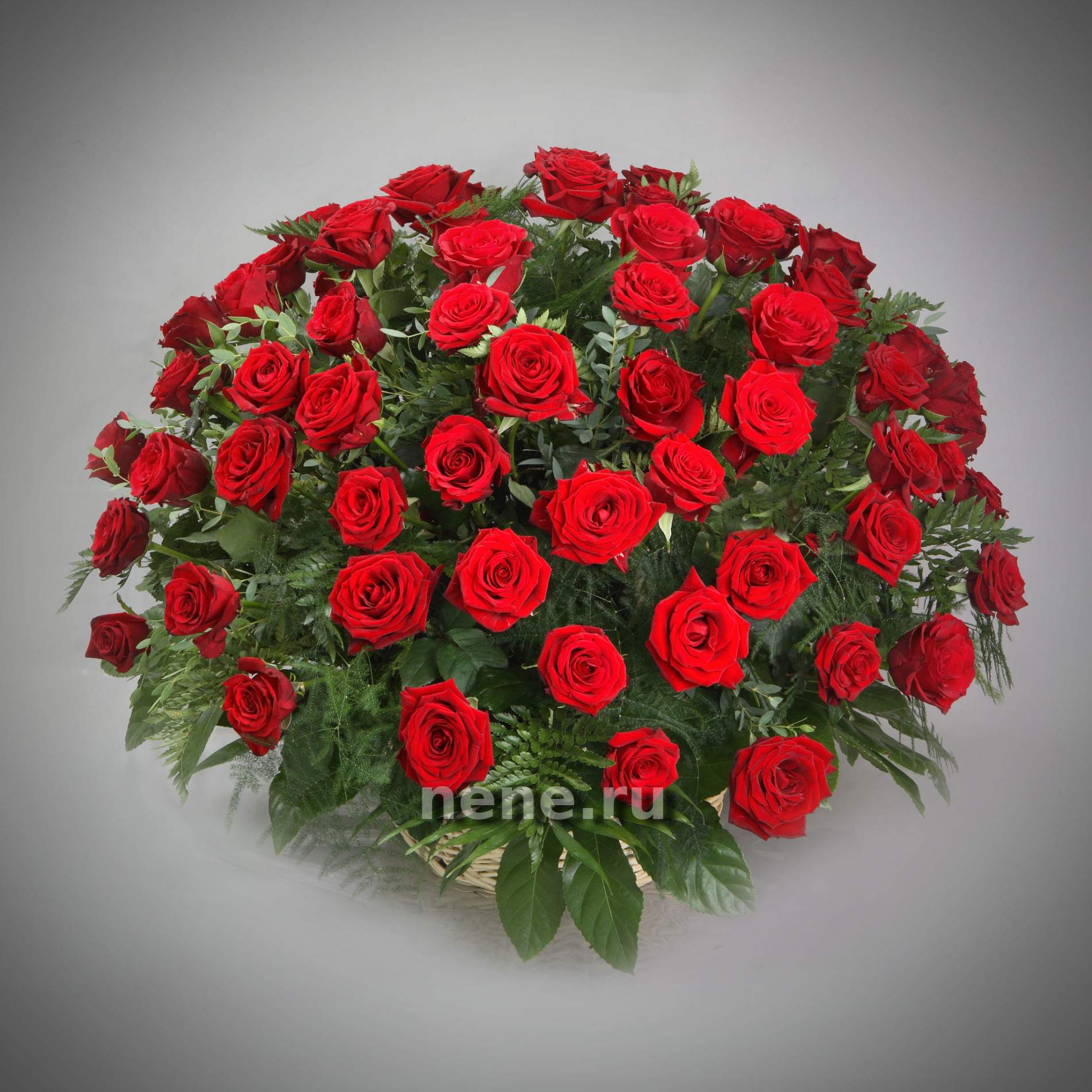 Я у твоих ног