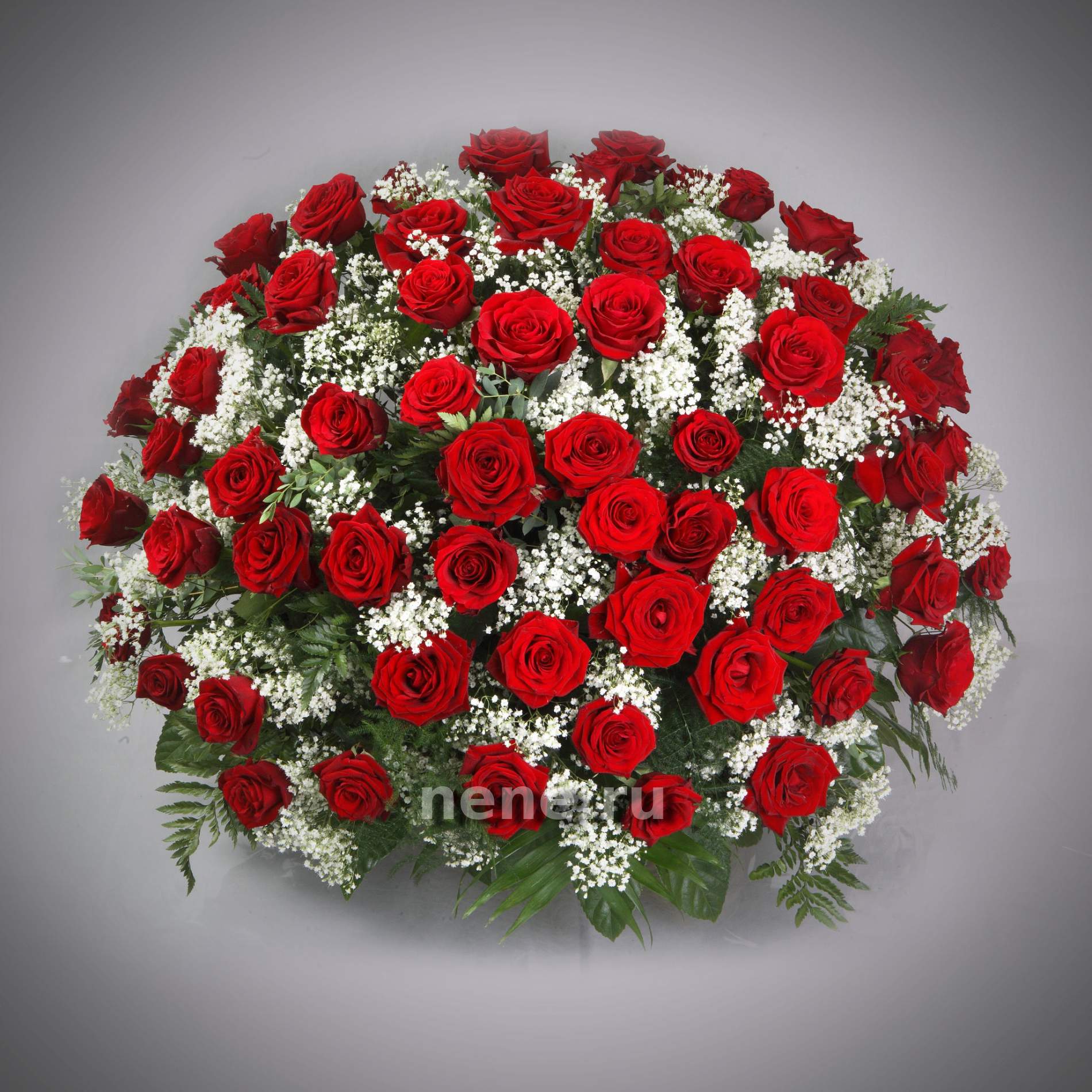 Одной Единственной