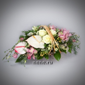 Смелой и умелой