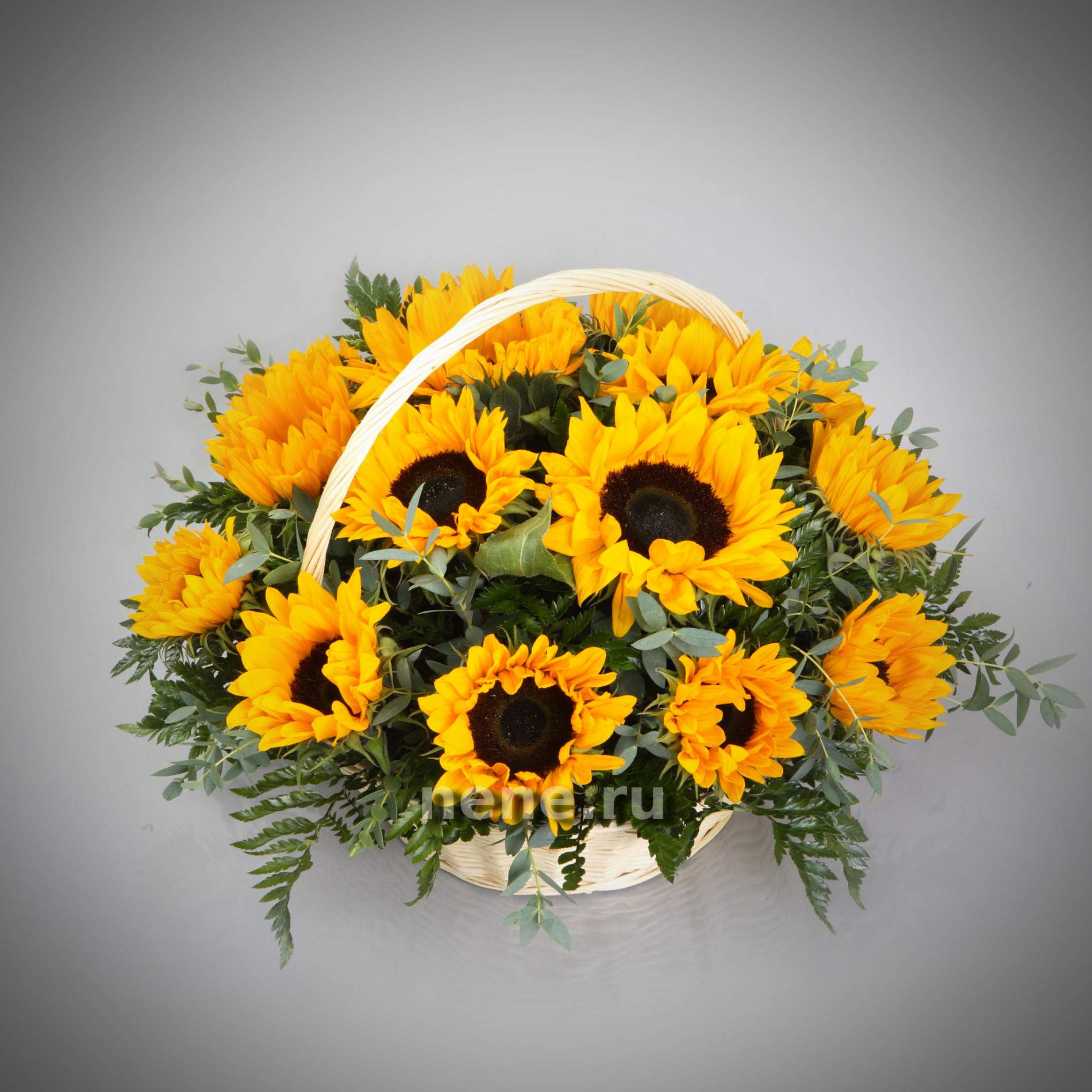 Солнце в руках