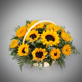 Солнце в руках