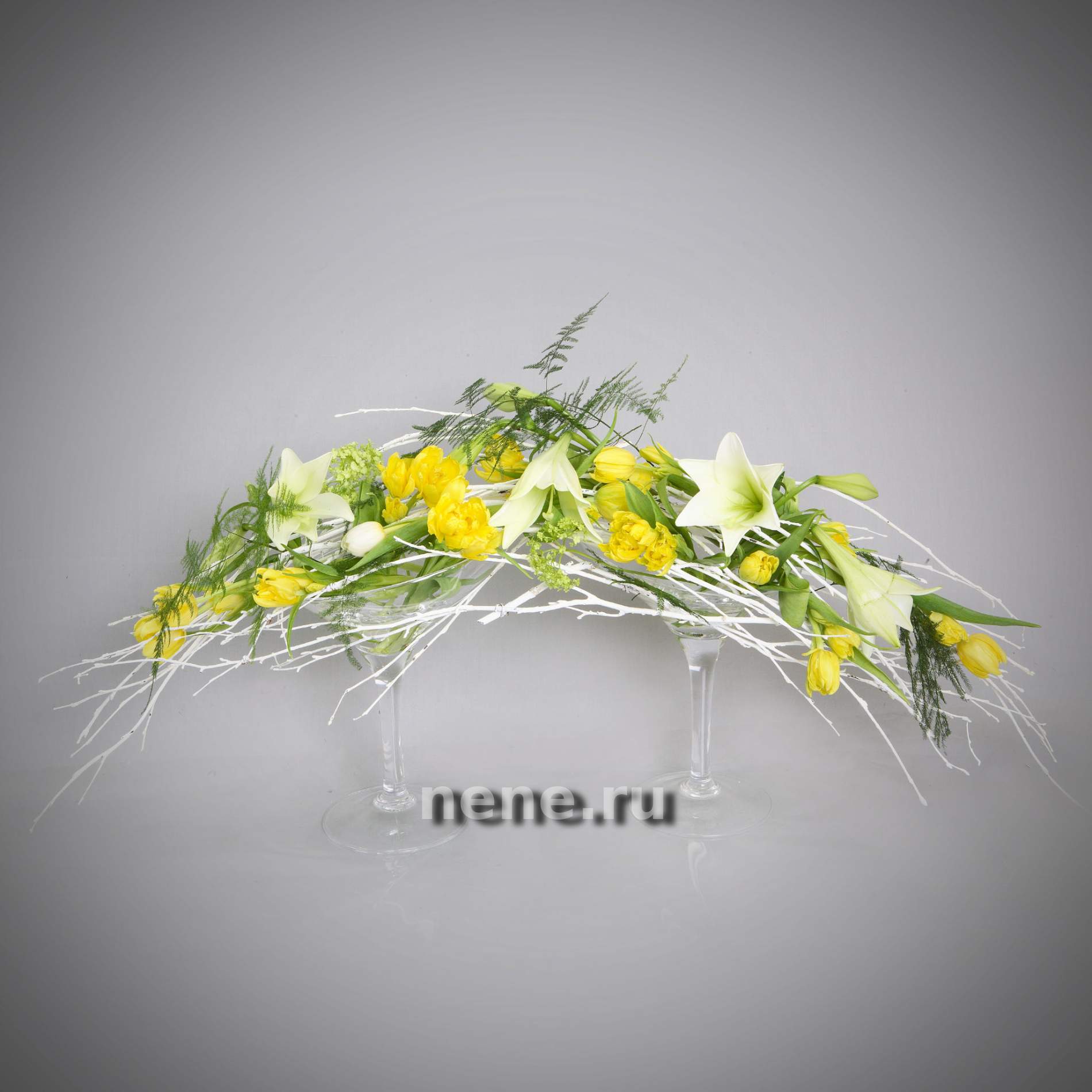 Весенние метаморфозы