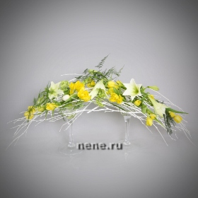 Весенние метаморфозы