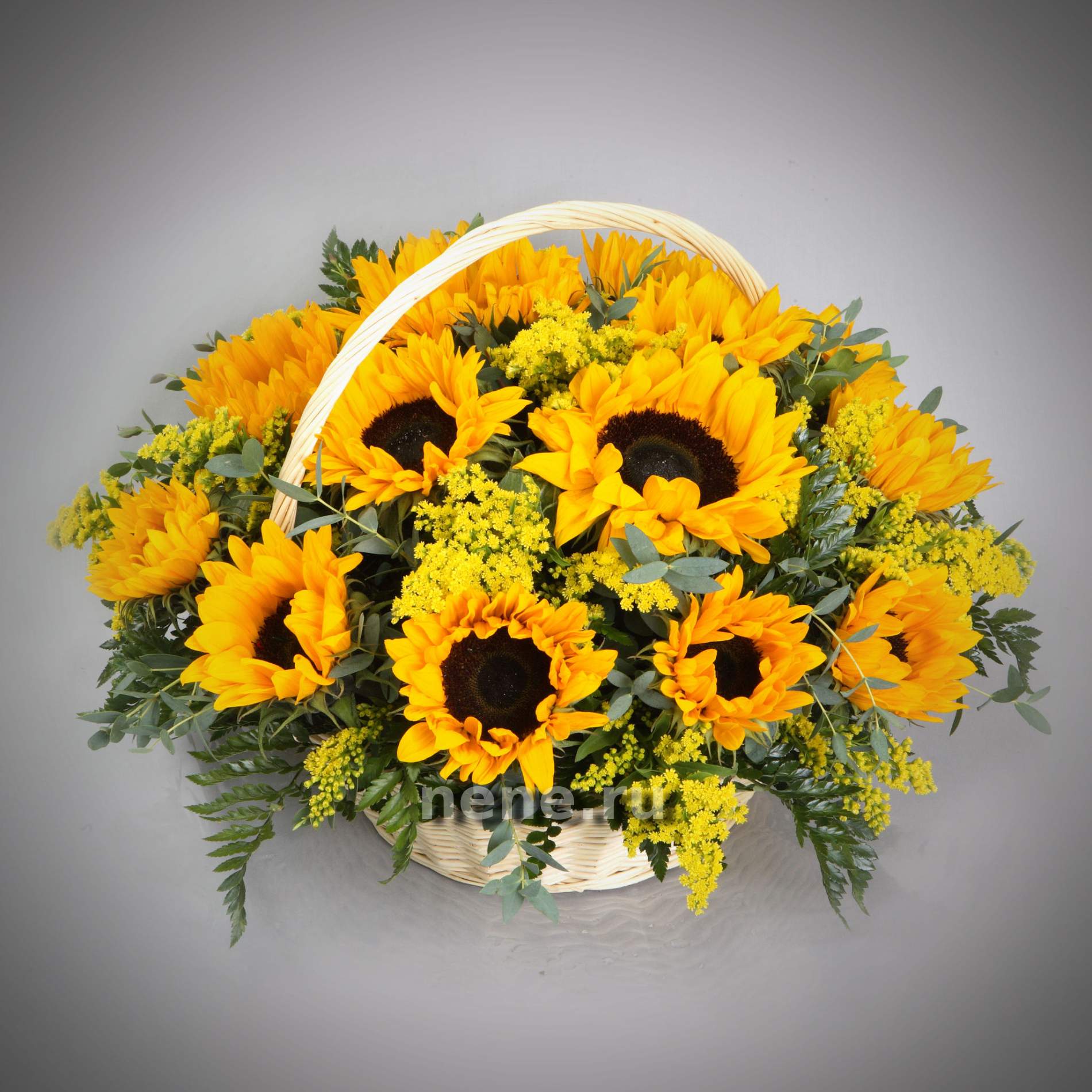 По дороге к солнцу