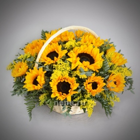 По дороге к солнцу